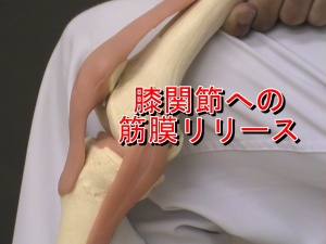 膝関節への筋膜リリース