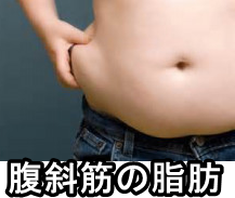 腹斜筋の脂肪